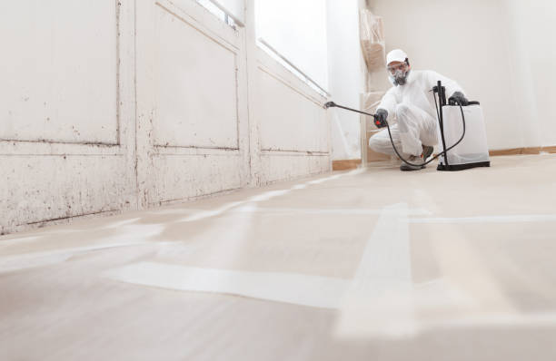 24/7 Emergency Mold Removal experts in Gainesville, VA